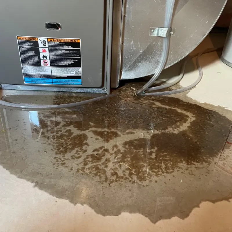 Appliance Leak Cleanup in Marietta-Alderwood, WA